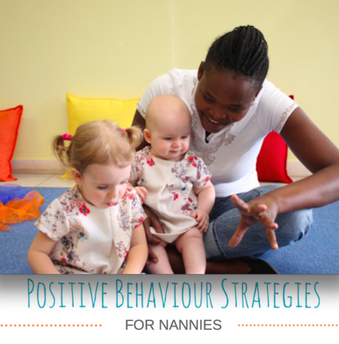 Positive Behaviour Nanny Training Course