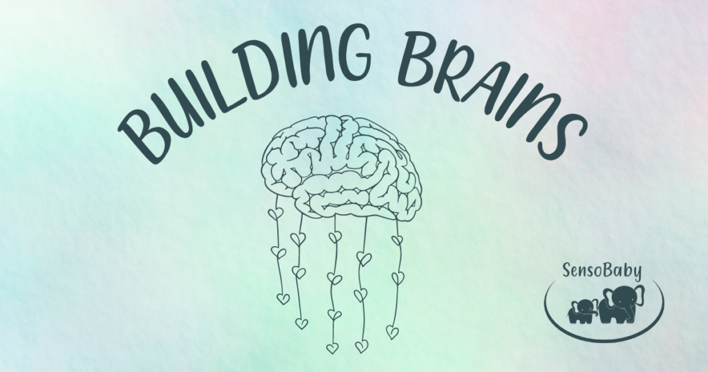 Building Brains