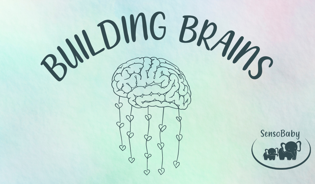 Building Brains