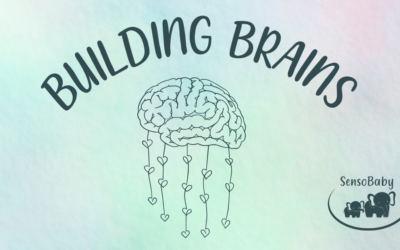 Building Brains